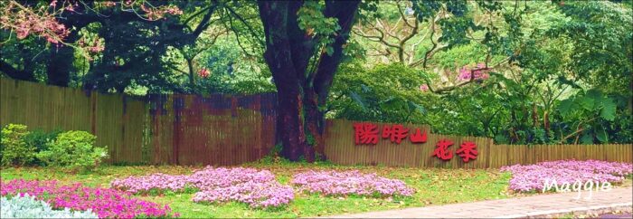 raw-image